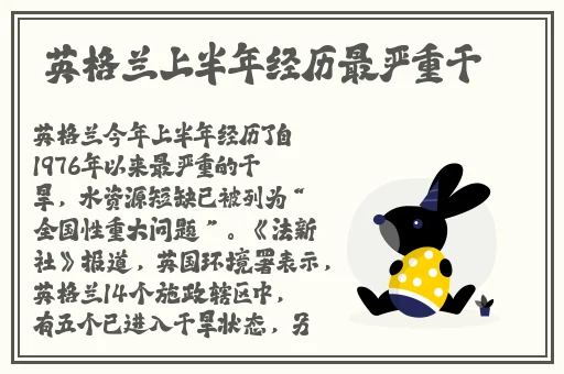 蜘蛛密友免费版下载
