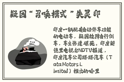 福建大菠萝导航