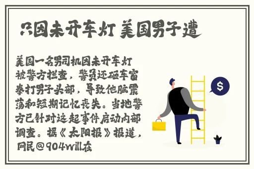 野花高清在线观看免费3