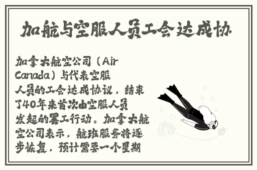 量近2019中文大全