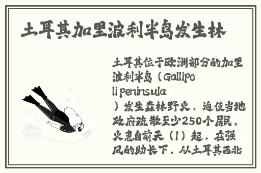 卖的学生在哪怎么联系加群
